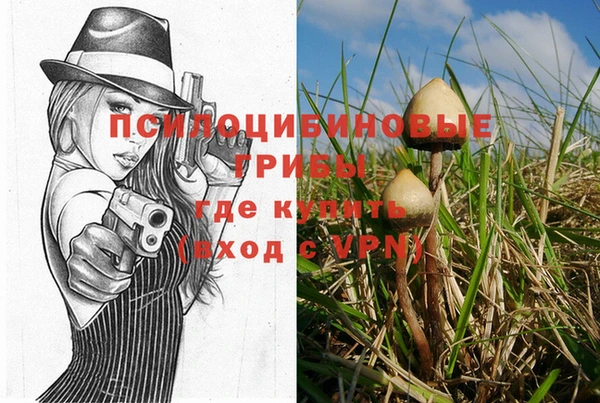 ECSTASY Аркадак