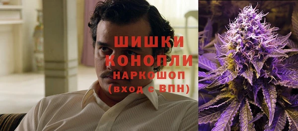 соль ск Арсеньев