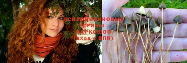 ECSTASY Аркадак