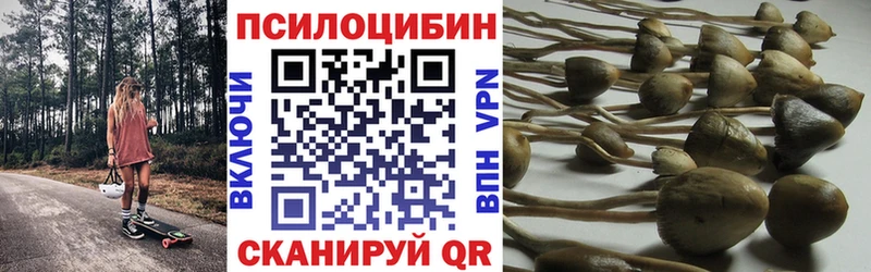 как найти закладки  Ахтубинск  Галлюциногенные грибы GOLDEN TEACHER 